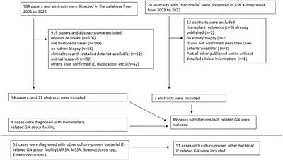 Clinicopathological differences between Bartonella and other bacterial endocarditis-related glomerulonephritis – our experience and a pooled analysis